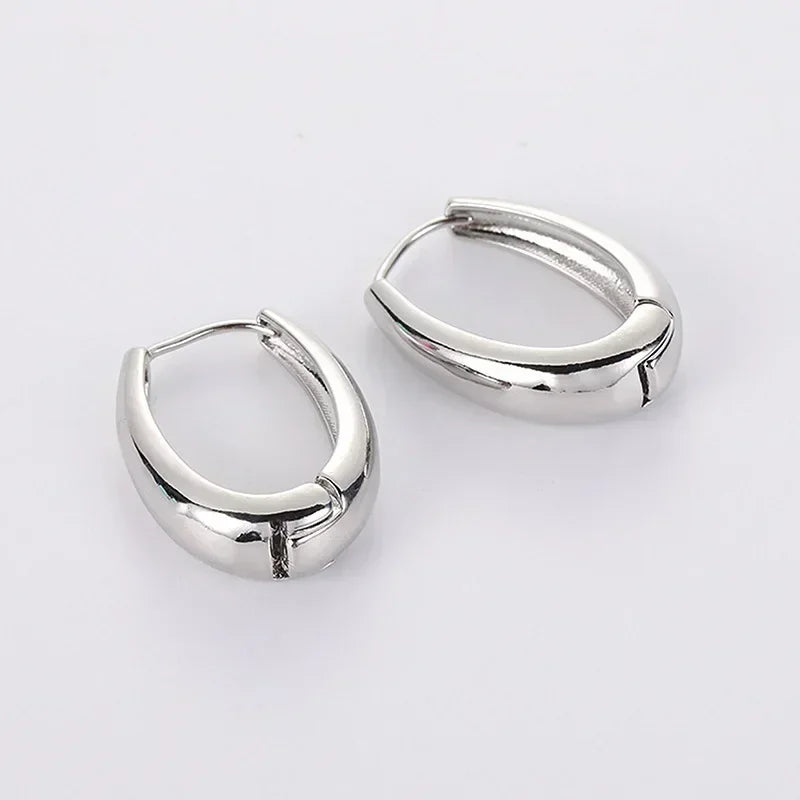 Metal Drop Earrings Stainless Steel Hoop