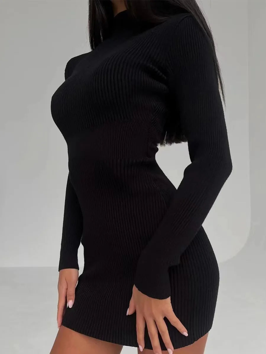 Genzi Turtleneck Rib Knit Long Dress